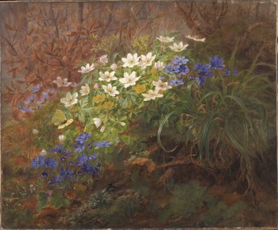 Sasanky od Anthonie Christensen
