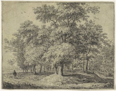 Muž se psem v lese Forest Views, série A (název série) od Anthonie Waterloo