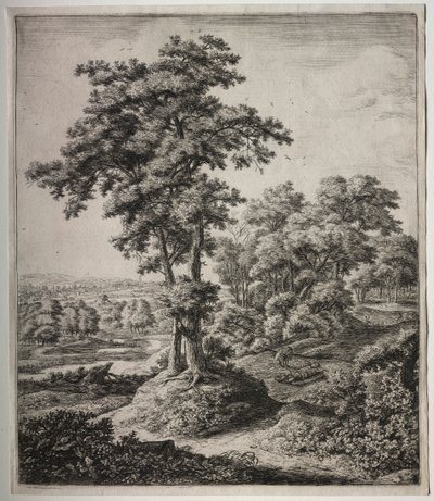 Prorok z Judy. od Anthonie Waterloo