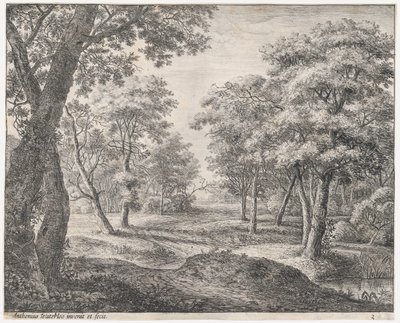 Cesta lesem, 17. století. od Anthonie Waterloo