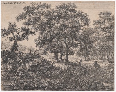 Tři stromy, 17. století. od Anthonie Waterloo