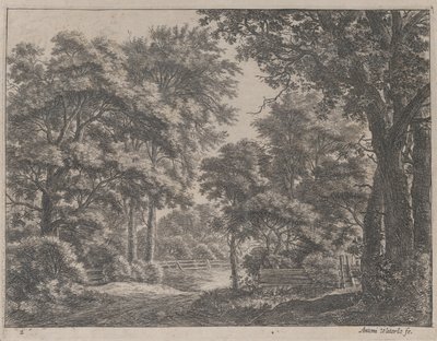 The Trimmed Groves, 17. století. od Anthonie Waterloo
