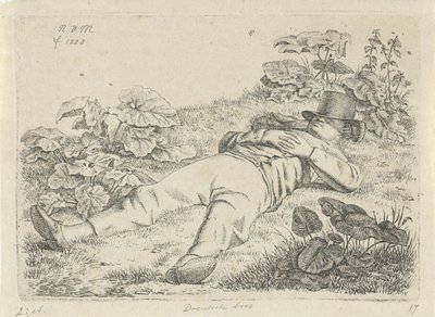 Ležící muž v trávě Drentsche farmer (titul na objektu) od Anthonie Willem Hendrik Nolthenius de Man