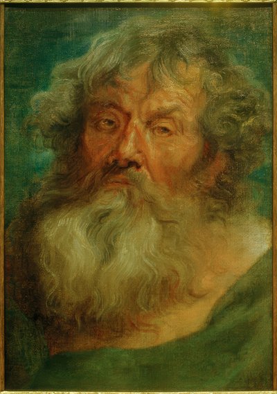Hlava starého muže od Anthony van Dyck