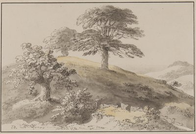 Sussex: Near St Marthas, Albury (pero, štětec, inkoust a wc na papíře) od Anthony Devis