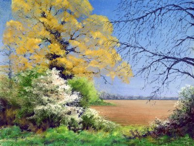Trnka zima, 2003 od Anthony Rule