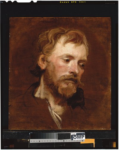 Vousatý muž, pracovna od Anthony van Dyck