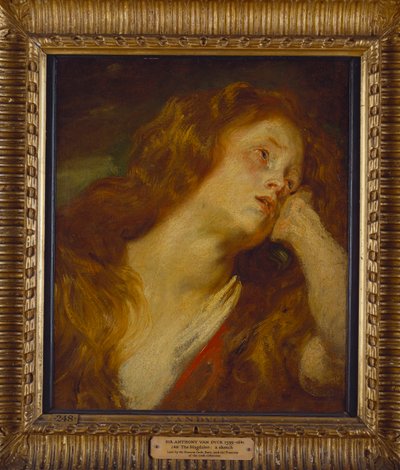 Mladá žena, délka po prsa, opřená hlavou o ruku od Anthony van Dyck