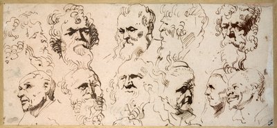 Jedenáct studií hlavy (pero a hnědý inkoust na papíře) od Anthony van Dyck