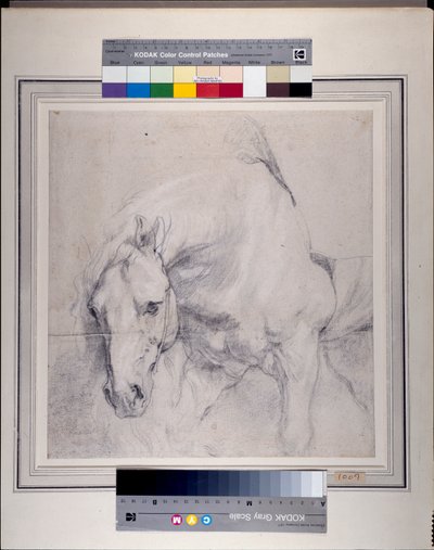 Hlava a přední končetiny šedého koně (černá křída zvýrazněná bílou na papíře) od Anthony van Dyck