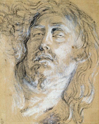 Hlava mrtvého Krista (uhl a křída na papíře) od Anthony van Dyck
