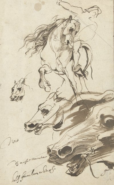 Studie jezdce a hlavy koně, 1620-1 (pero a čb na papíře) od Anthony van Dyck