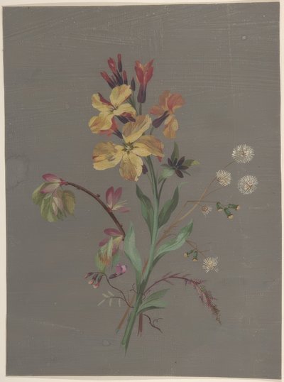 květinový design od Antoine Berjon