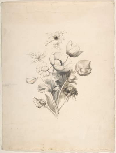 květinový design od Antoine Berjon