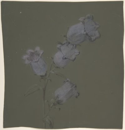 Sprej Canterbury Bells od Antoine Berjon