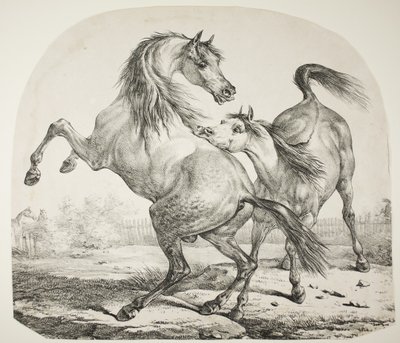 Boj divokých koní, kolem roku 1820 od Antoine Charles Horace Vernet
