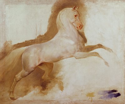 Kůň Joachima Murata, c. 1832 od Antoine Jean Gros