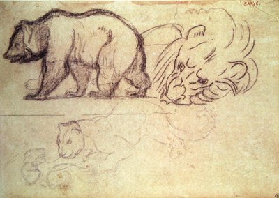 Chodící medvěd, hlava lva a leopard útočící na zvíře (uhl a tužka na papíře) od Antoine Louis Barye