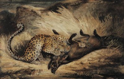 Leopard žere kance. od Antoine Louis Barye