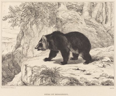 Mississippi medvěd, 1836. od Antoine Louis Barye