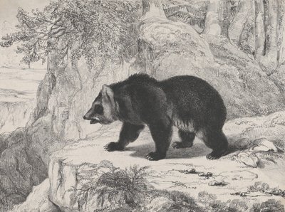 Mississippi medvěd, 1836. od Antoine Louis Barye