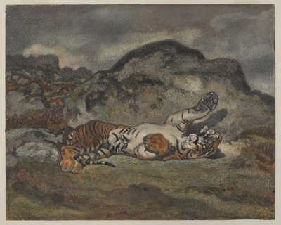 Rolling Tiger, cca 1840 (wc na papíře) od Antoine Louis Barye
