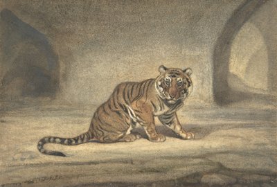Tygr, 1810-75. od Antoine Louis Barye