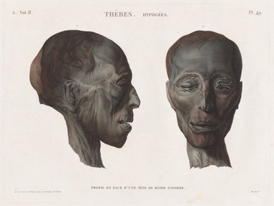 Popis Egypta: Théby. Hypogees Vol. II, Pl. 49 od Antoine Maxime Monsaldy