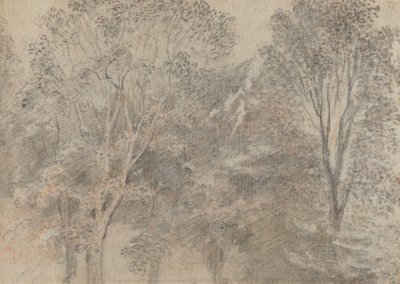 koruny stromů [verso] od Antoine Watteau