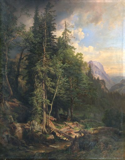 Ze štýrských horských lesů u Neubergu od Anton Hansch