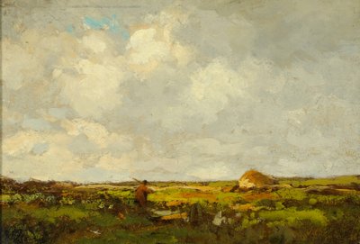 Krajina (olej na dřevě) od Anton Mauve