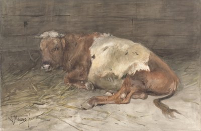 Ležící mladý býk od Anton Mauve
