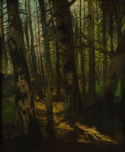 Mýcení lesa od Anton Müller Wischin
