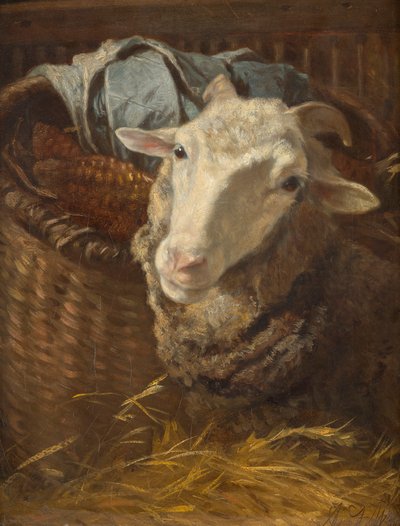 Ovce od Anton Schrodl