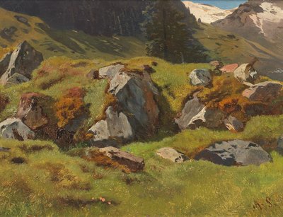 Studie hornin ve Ferleitenu od Anton Schrodl