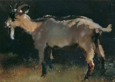 Koza od Anton Schrodl