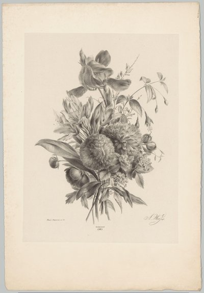 Karafiáty a lilie Flower and Fruit Studies (...) 10. epizoda (název série) od Anton Weiss