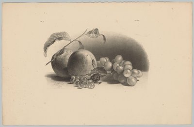 Jablka, bobule, ostružiny a hrozny Flower and Fruit Studies (...) 3. epizoda (název série) od Anton Weiss