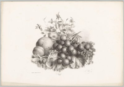 Květiny, broskev, nektarinka, hrozny a ostružiny Flower and Fruit Studies (...) 10. epizoda (název série) od Anton Weiss