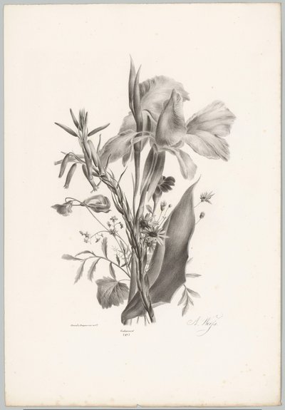 Diverse bloemen Bloem en Fruit Studien (...) 10e aflevering (series title)   1373600   cs       czech Successfully Translated  Original: Fire in the Port Translat: Fire in the Port 1276830 cs czech Successfully Translated Original: Musical Still Life Trans od Anton Weiss