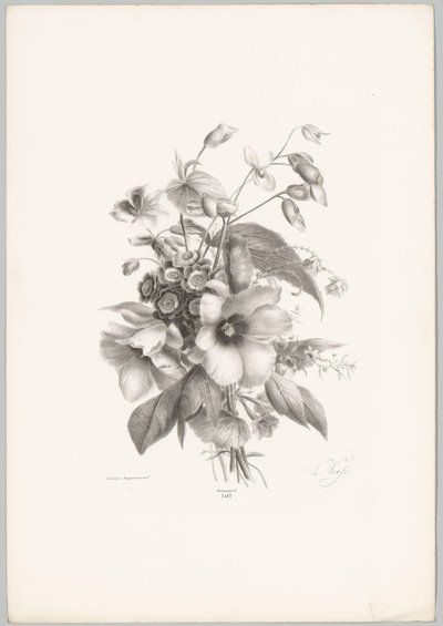 Různé květiny Flower and Fruit Studies (...) 10. epizoda (název série) od Anton Weiss