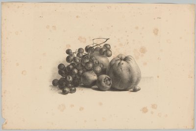 Hrozny a jablka Flower and Fruit Studies (...) 3. epizoda (název série) od Anton Weiss