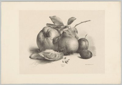 Ovoce, švestky a ústřice Flower and Fruit Studies (...) 10. epizoda (název série) od Anton Weiss