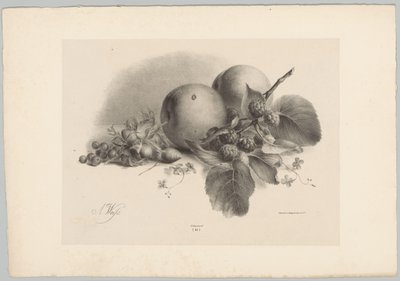 Broskve, bobule, lískové ořechy a ostružiny Flower and Fruit Studies (...) 10. epizoda (název série) od Anton Weiss