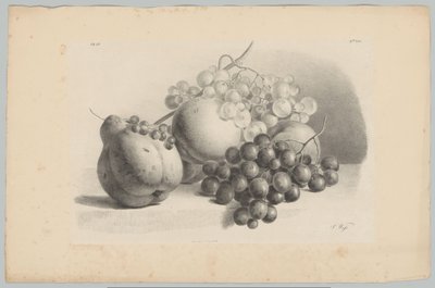 Dýně, bobule, hrozny a broskve Flower and Fruit Studies (...) 3. epizoda (název série) od Anton Weiss