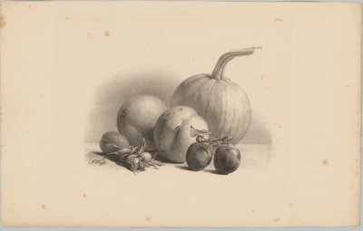 Dýně, broskve, meruňky, švestky a lískové ořechy Flower and Fruit Studies (...) 3. epizoda (název série) od Anton Weiss
