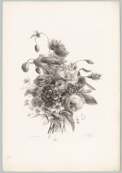 Růže a jiné květiny Flower and Fruit Studies (...) 10. epizoda (název série) od Anton Weiss