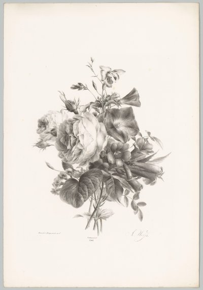 Růže a květiny ve tvaru kalicha Flower and Fruit Studies (...) 10. epizoda (název série) od Anton Weiss