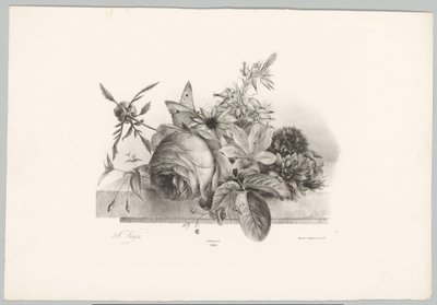 Růže, lilie, květiny ve tvaru zvonu a motýl Flower and Fruit Studies (...) 10. epizoda (název série) od Anton Weiss
