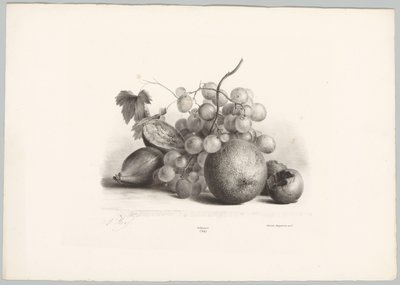 Fíky, hrozny a pomeranč Květinové a ovocné studie (...) 10. epizoda (název série) od Anton Weiss